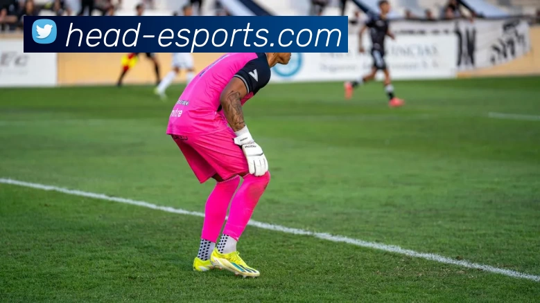 海德电竞官网发展历程